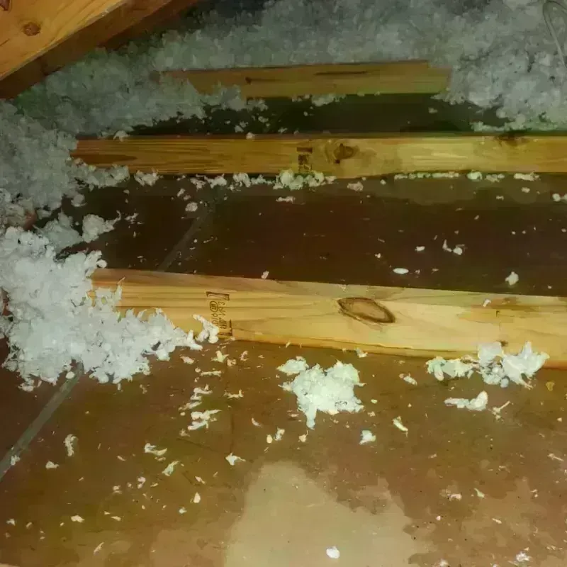 Attic Water Damage in Leoti, KS